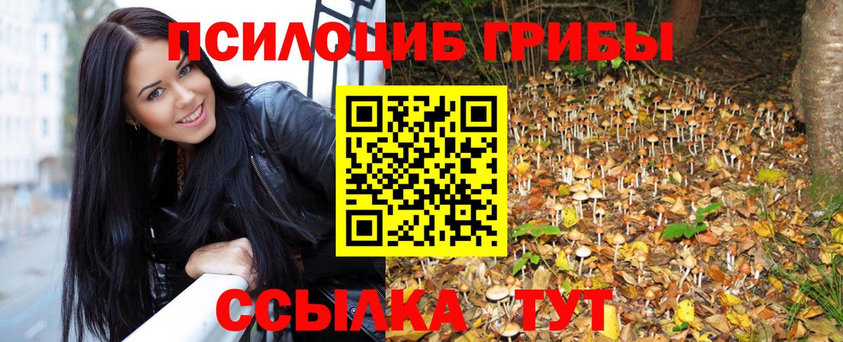 Псилоцибиновые грибы Psilocybine cubensis Ялта