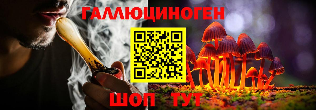 Псилоцибиновые грибы Psilocybine cubensis  Вход с VPN  Ялта 